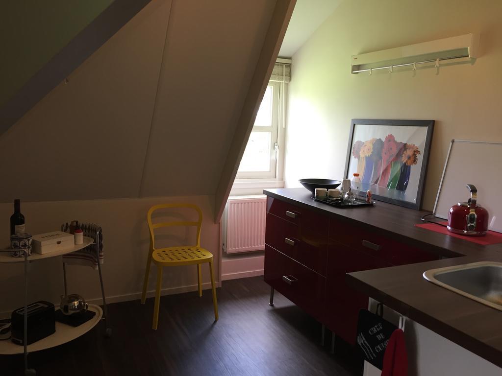 Buitenluttenberg公寓 外观 照片
