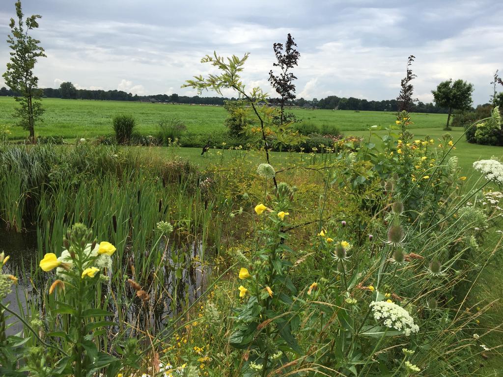 Buitenluttenberg公寓 外观 照片
